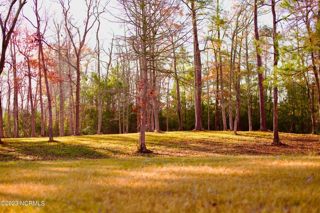 161 Sunshine Drive, Arapahoe, NC 28510