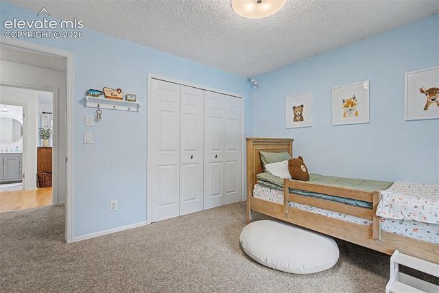 540 Grey Eagle Drive, Colorado Springs, CO 80919