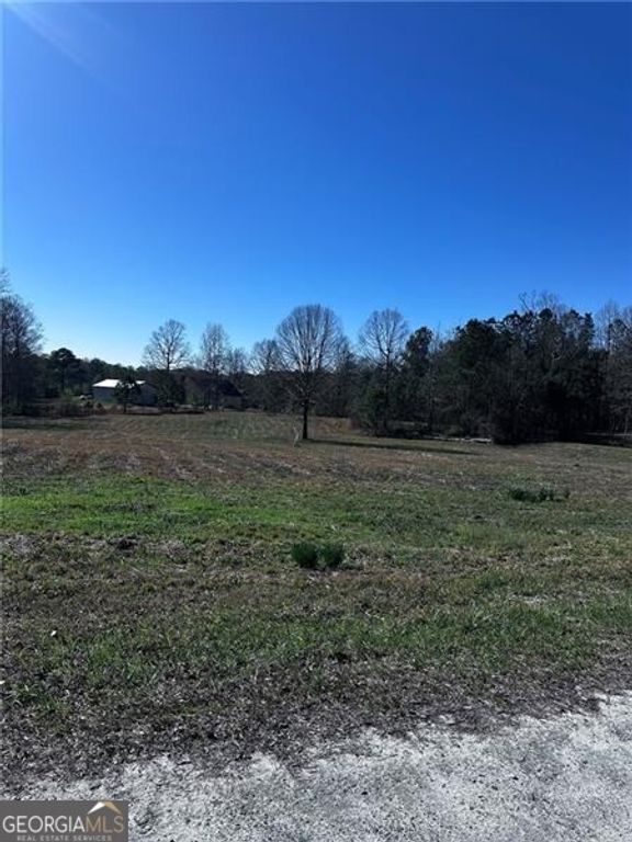 8395 Vernon Grove Road, Chattahoochee Hills, GA 30268