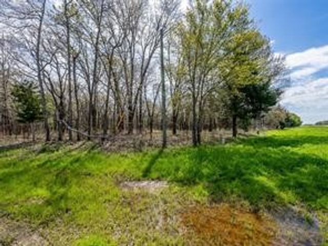 TBD01 FM Road 897, Lamasco, TX 75488