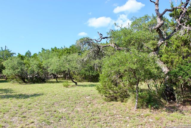 197 Rosenberry, Bulverde, TX 78163