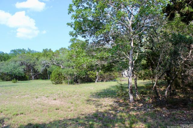 197 Rosenberry, Bulverde, TX 78163