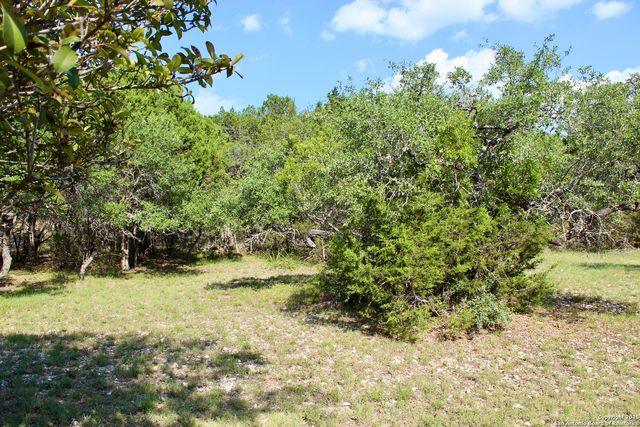 197 Rosenberry, Bulverde, TX 78163