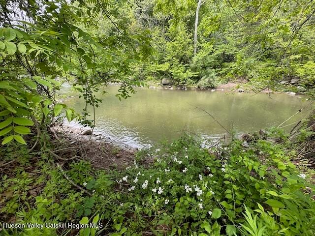 818 Cauterskill Road, Catskill, NY 12414
