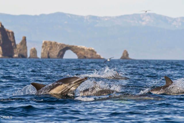 1684 Poli Street, Ventura, CA 93001