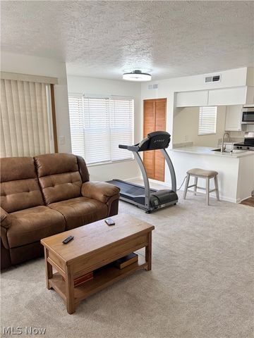 2305 Stoney Run Trail, Broadview Heights, OH 44147