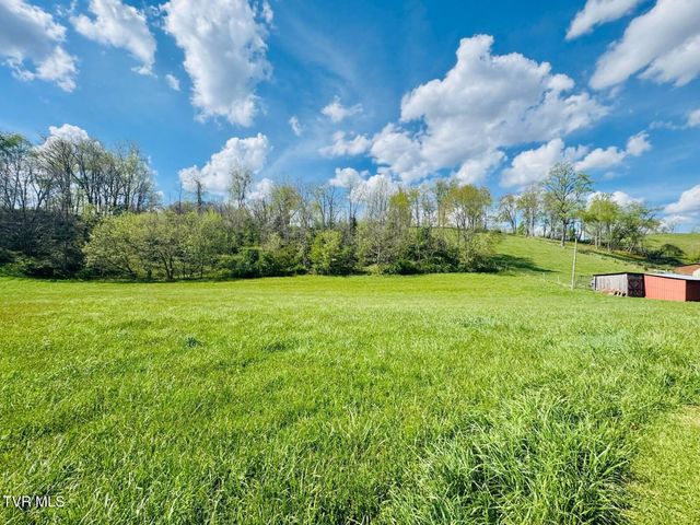 31111 Rich Valley Road, Meadowview, VA 24361