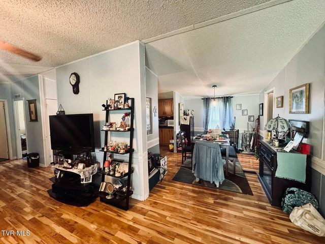 31111 Rich Valley Road, Meadowview, VA 24361