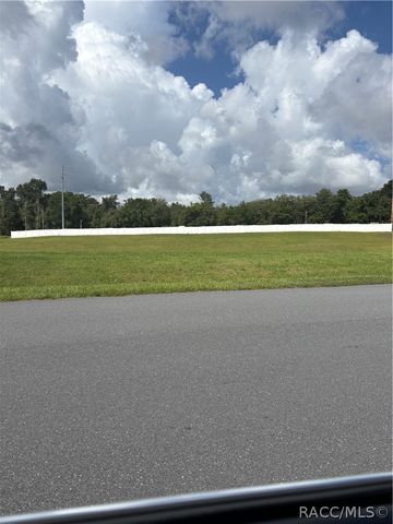 2834 N Canterbury Lake Drive, Hernando, FL 34442