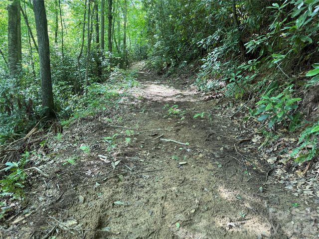 700 Copperhead Cove, Sylva, NC 28779