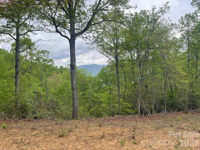 700 Copperhead Cove, Sylva, NC 28779