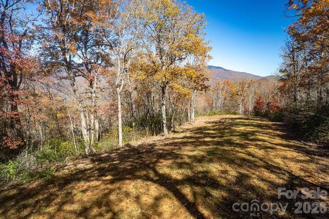 700 Copperhead Cove, Sylva, NC 28779