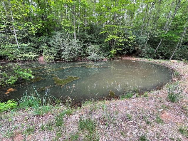 700 Copperhead Cove, Sylva, NC 28779