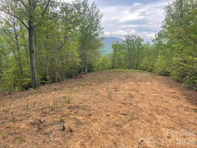 700 Copperhead Cove, Sylva, NC 28779