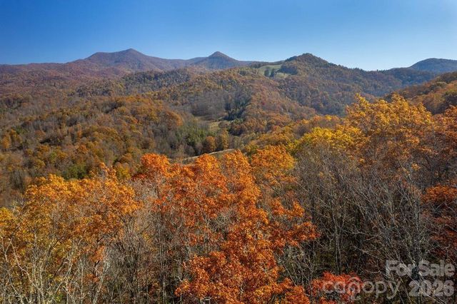 700 Copperhead Cove, Sylva, NC 28779