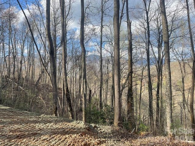700 Copperhead Cove, Sylva, NC 28779