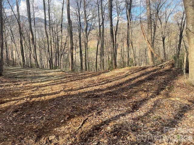 700 Copperhead Cove, Sylva, NC 28779