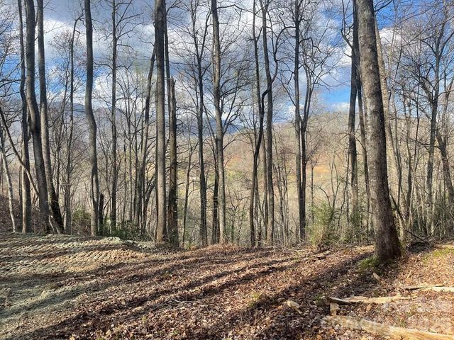 700 Copperhead Cove, Sylva, NC 28779