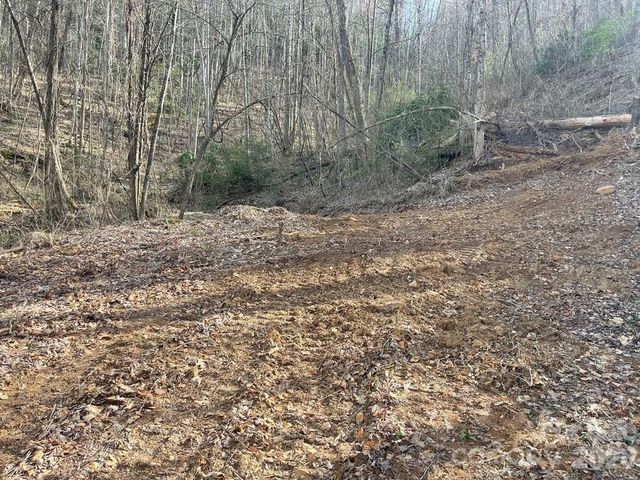 700 Copperhead Cove, Sylva, NC 28779