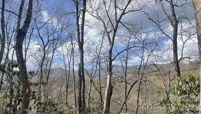 700 Copperhead Cove, Sylva, NC 28779