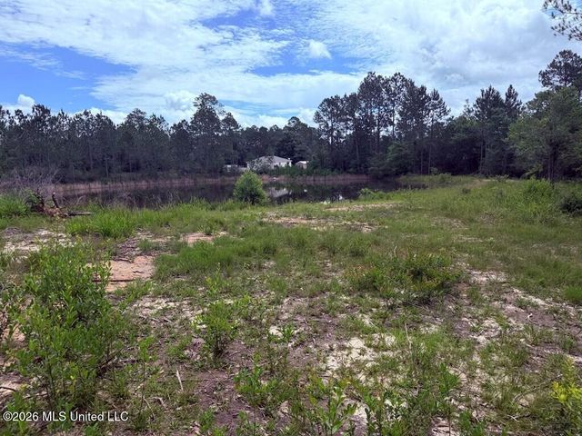 E Lake Cypress Drive, Perkinston, MS 39573