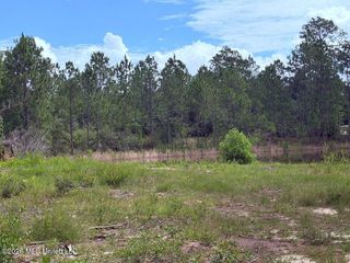 E Lake Cypress Drive, Perkinston, MS 39573