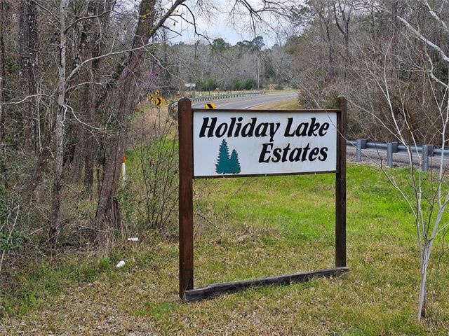 271 Oakwood Lane, Goodrich, TX 77335