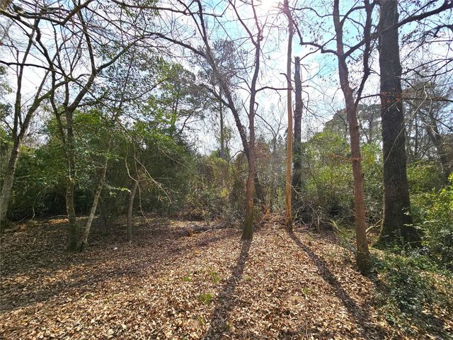 271 Oakwood Lane, Goodrich, TX 77335