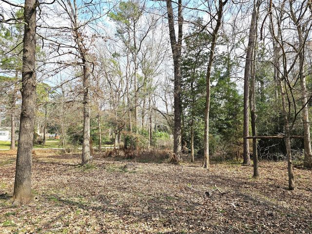 271 Oakwood Lane, Goodrich, TX 77335