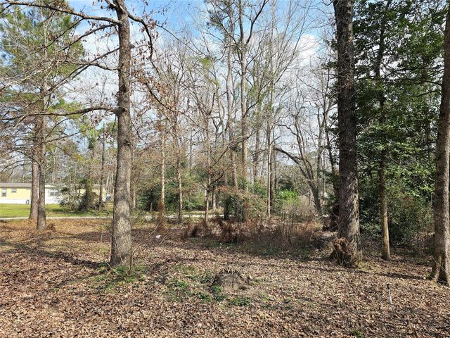 271 Oakwood Lane, Goodrich, TX 77335