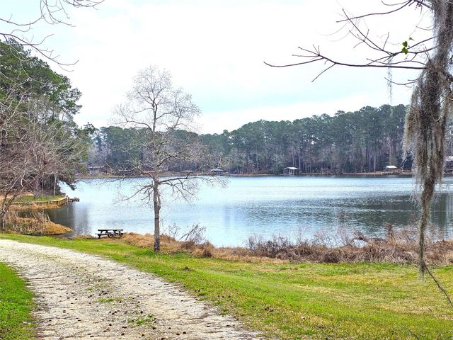 271 Oakwood Lane, Goodrich, TX 77335