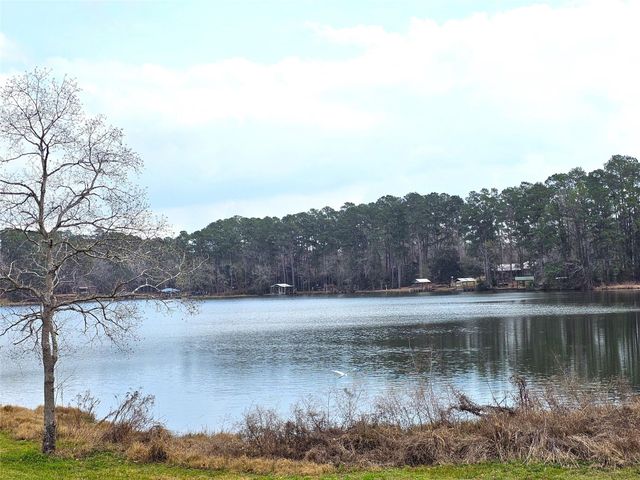 271 Oakwood Lane, Goodrich, TX 77335