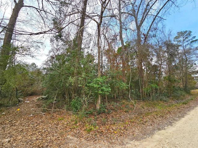 271 Oakwood Lane, Goodrich, TX 77335