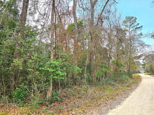 271 Oakwood Lane, Goodrich, TX 77335