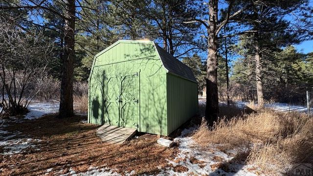 8295 Green Lane, Rye, CO 81069