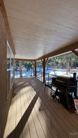 8295 Green Lane, Rye, CO 81069