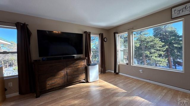 8295 Green Lane, Rye, CO 81069