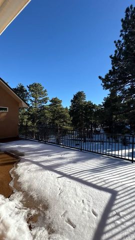 8295 Green Lane, Rye, CO 81069