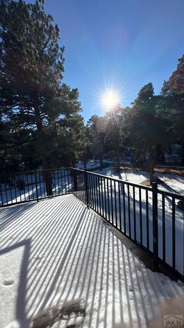 8295 Green Lane, Rye, CO 81069