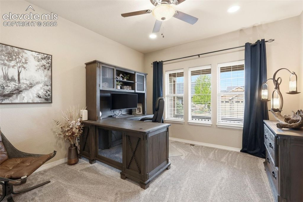 233 Coyote Willow Drive, Colorado Springs, CO 80921 — photo 5
