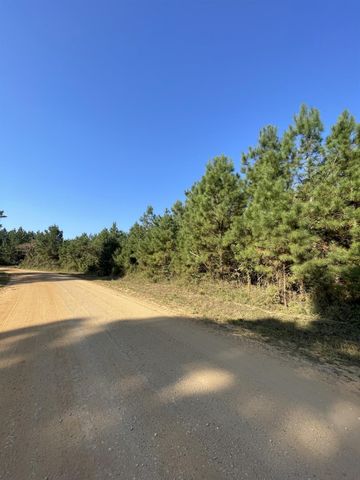 TBD County Road 546 Road, Nacogdoches, TX 75961