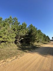 TBD County Road 546 Road, Nacogdoches, TX 75961