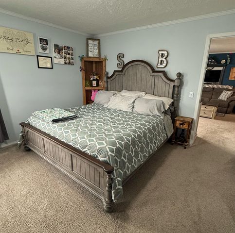 1097 Peachtree Court, Union Twp, MI 48858