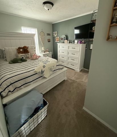 1097 Peachtree Court, Union Twp, MI 48858