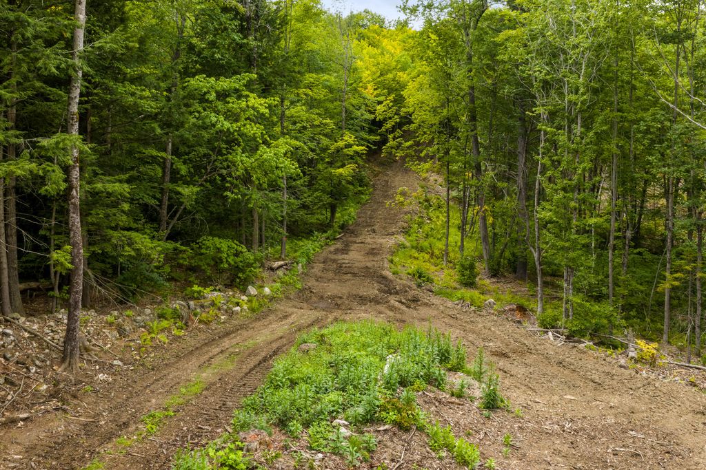 Lot 28 South Bridgton Road, Bridgton, ME 04009 — photo 2