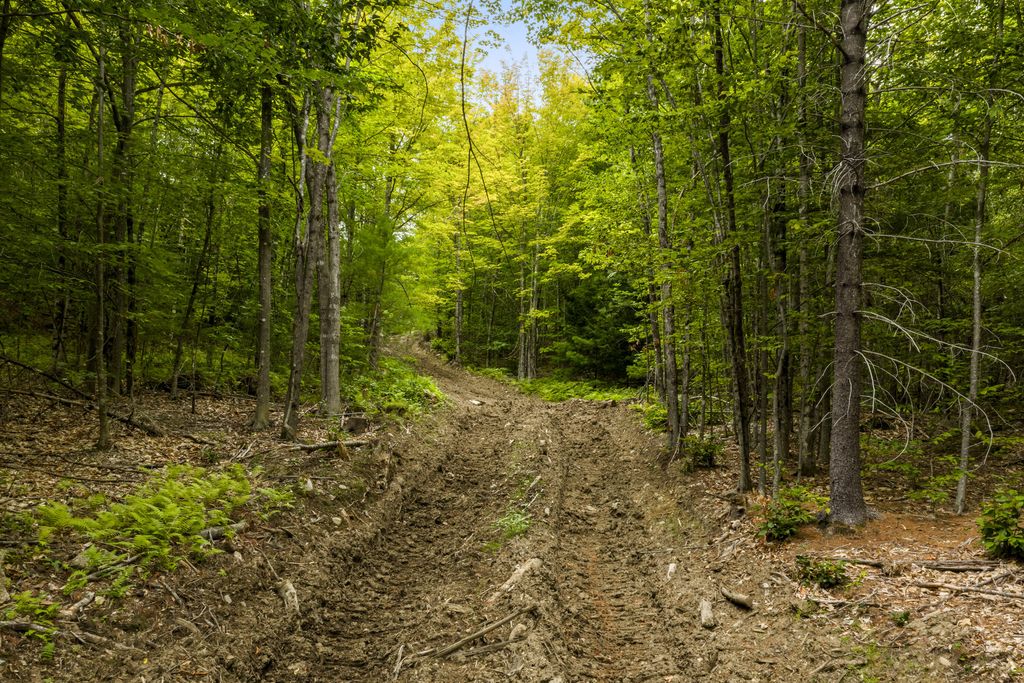 Lot 28 South Bridgton Road, Bridgton, ME 04009 — photo 3