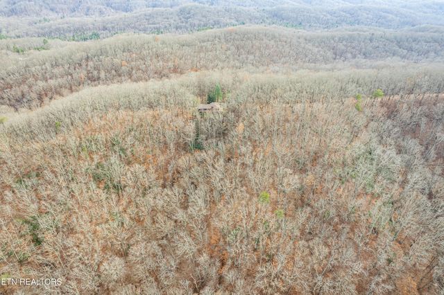 1005 Tuskegee Drive, Oak Ridge, TN 37830