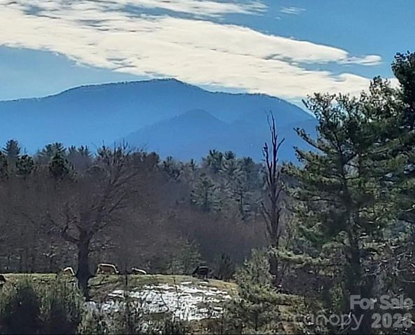 211 Wimbledon Court, Leicester, NC 28748