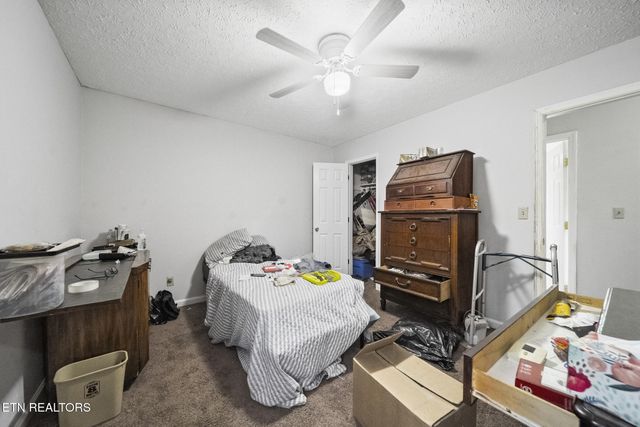 301 Hill St, Rocky Top, TN 37769