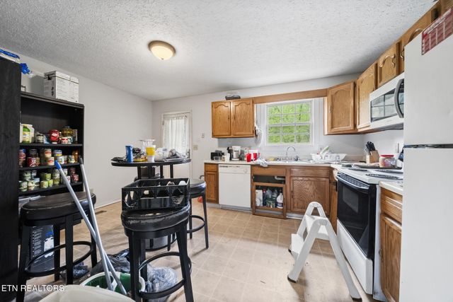 301 Hill St, Rocky Top, TN 37769